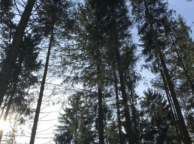 アパート Mit Panoramablick *