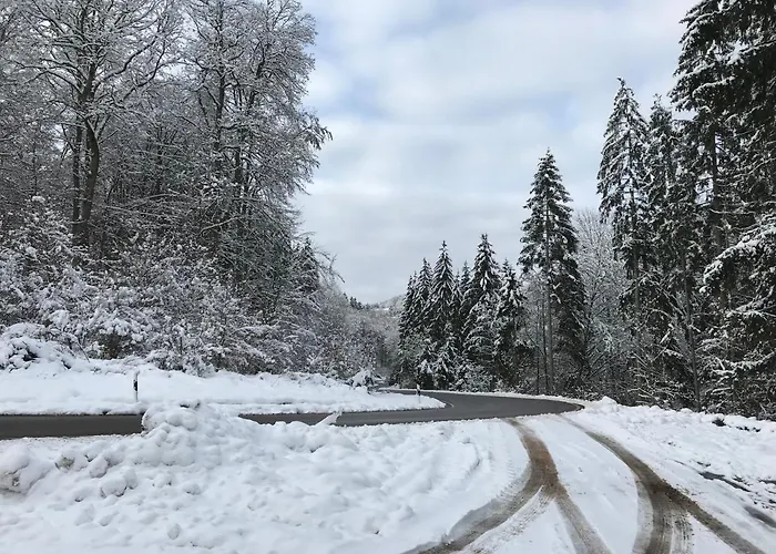 Appartement Mit Panoramablick Gerolstein